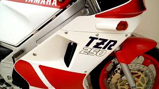 TZR 250 YAMAHA [upl. by Yerggoeg]