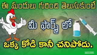 Complete Medicine Details  chick to finisher  Technical Farmers Telugu [upl. by Melisandra]