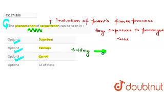 The phenomenon of vernalization can be seen in   CLASS 11  PLANT GROWTH AND DEVELOPMENT  BI [upl. by Kary]