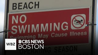 50 Massachusetts beaches closed weekend before Labor Day due to unsafe bacteria levels [upl. by Shulock467]