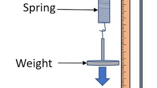 1 Hookes Law Experiment [upl. by Czarra]