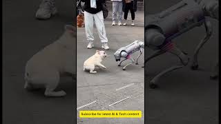 ai robot dog who you think would win 🏆 ai [upl. by Gow]