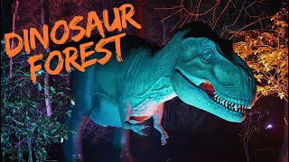 Dinosaur forest Maya and Filip [upl. by Bruni529]