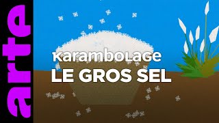 Le gros sel  Karambolage  ARTE [upl. by Asirahc]