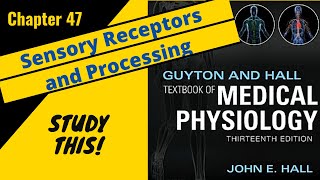 Guyton and Hall Medical Physiology Chapter 47 REVIEW Sensory Receptors  Processing  Study This [upl. by Narahs]