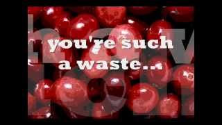 The Cranberries Such A Waste with Lyrics [upl. by Nahtiek]