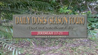 Daily Doses Season Four Ep 215  Bible In One Year  WEB Translation [upl. by Medovich476]