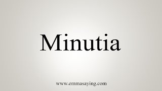 How To Say Minutia [upl. by Ymas]