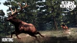 GTA 5 Confirmed Animals Hunting Wildlife Atmosphere GTA V [upl. by Rastus]