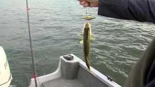 Great Getaways Fishing The Manistique Lakes Curtis MI [upl. by Reyotal]