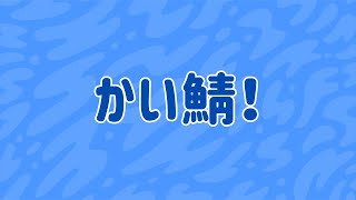 マイクラ参加型『全機種対応』サーバー かい鯖！ [upl. by Latona]