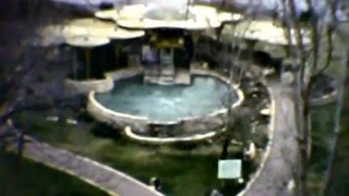 Aquarena Springs  San Marcos Texas 1964 [upl. by Flanigan]