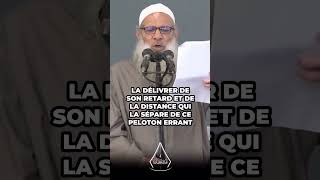 Rentrée scolaire conseil aux jeunes 🎤 Sheikh Saîd Raslan quAllah le préserve [upl. by Tellford]