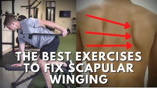 Effective Exercises To Fix Scapular Winging  Targeting The Weak Muscles [upl. by Laeynad]