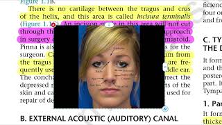 Chapter 1 Anatomy of Ear  THE EXTERNAL EAR  ENT Lectures  DHINGRA Lectures  ENT Dhingra Lectures [upl. by Ecahc520]