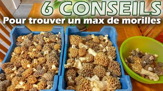 Morilles  6 conseils pour trouver un maximum de morilles [upl. by Litta281]