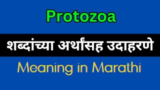 Protozoa Meaning In Marathi  Protozoa explained in Marathi [upl. by Becky]