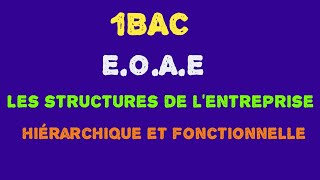 1BAC EOAE  les structures de lentreprise  hiérarchique et la structure fonctionnelle [upl. by Acimot]