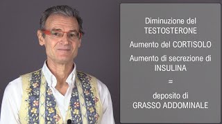 Grasso addominale e insonnia  Dr Paolo Accornero [upl. by Ambrosine]