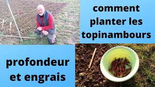 comment planter les topinambours et heliantis [upl. by Devinne]