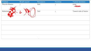 Pulmonary physical exam findings  Pulmonary system  Step 1 Simplified [upl. by Llennod]