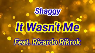 It Wasnt Me  Shaggy Feat Ricardo Rikrok Lyrics [upl. by Hippel]