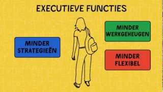 Autisme Wat zijn Executieve functies [upl. by Lyall351]