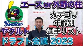 【東京ヤクルト】スワローズ編・手薄なのはどこだ？年齢・カテゴリ別選手リスト【ドラフト2023】 [upl. by Edorej]