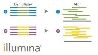 Insights into Index Hopping  Illumina Webinar [upl. by Balf589]