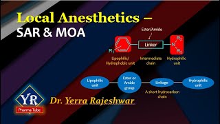 Local Anesthetics  SAR amp MOA  SAR of Local Anesthetics  YR Pharma Tube  Dr Rajeshwar Yerra [upl. by Pergrim]