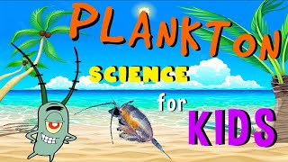 Plankton  Science for Kids [upl. by Nadabus]