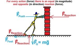 Physics 4 Newtons Laws of Motion 3 of 20 What is Newtons Third Law [upl. by Skip]