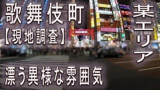 【 新宿 歌舞伎町】某エリア 最近は激アツな様子 再び現地調査を行いました。  Kabukicho Night spot in Shinjuku Walking Tour guide [upl. by Bautista]