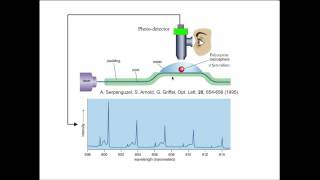 1 Whispering Gallery Mode Biosensor Early History 19942002 [upl. by Pigeon]