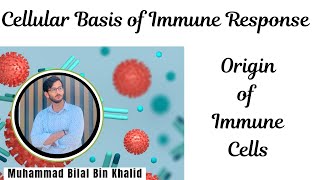 Cellular Basis of Immune Response  origin of immune cells immunology microbiology biology best [upl. by Dodi]