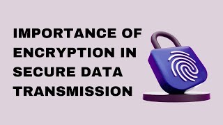 The Importance of Encryption in Secure Data Transmission [upl. by Khalil324]