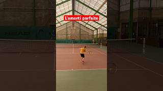 L’amorti parfaite tennis pourtoi [upl. by Uel428]