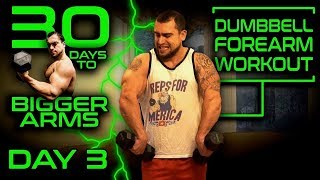 Intense Dumbbell Forearms Workout Video  30 Days of Dumbbell Workouts At Home for Bigger Arms Day 3 [upl. by Haldas632]