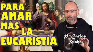 🔥▶ ¡ENCIENDE TU AMOR A LA EUCARISTÍA  P Carlos Spahn [upl. by Annoval386]