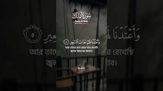 Surah Al Mulk ► Imam Faysal Verses 58 shorts quran reels tilawat recitation alquran ir94 [upl. by Sedinoel781]