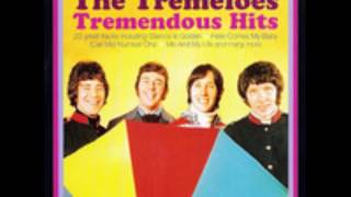 The Tremeloes  Here Comes My Baby  HD [upl. by Aisnetroh]