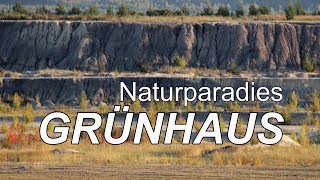 quotNaturparadies Grünhausquot  eine Wildnis im Entstehen [upl. by Ritz]