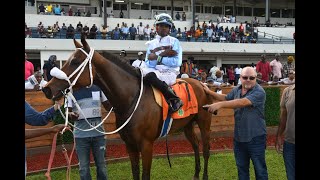 JAMAICA RACING Legit Boss Wins Sat Nov 2 2024 7th [upl. by Haidabej]