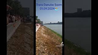 Trans Danube Swim 2024 Bratislava Slovakia sports summer swimming [upl. by Hiltner765]