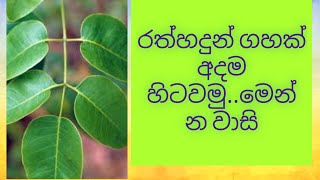 ලස්සන කරන රත් හදුන්rath hadun sri lankapeterocapas santalinousishanheritage [upl. by Aratihc]