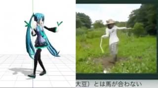 Hatsune Miku Ievan Polkka Dance Comparison [upl. by Emirej173]