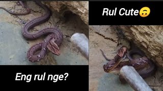 Rul nen dar ang kan intawng 🐍 [upl. by Benedikt]