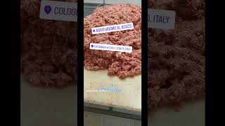 Si lavora di maniPasta Salame per Salumi Naturali [upl. by Ailina957]