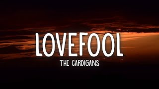 The Cardigans  Lovefool Lyrics  1 Hour Version [upl. by Yllom]