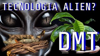 DMT TECNOLOGIA ALIEN [upl. by Domonic]